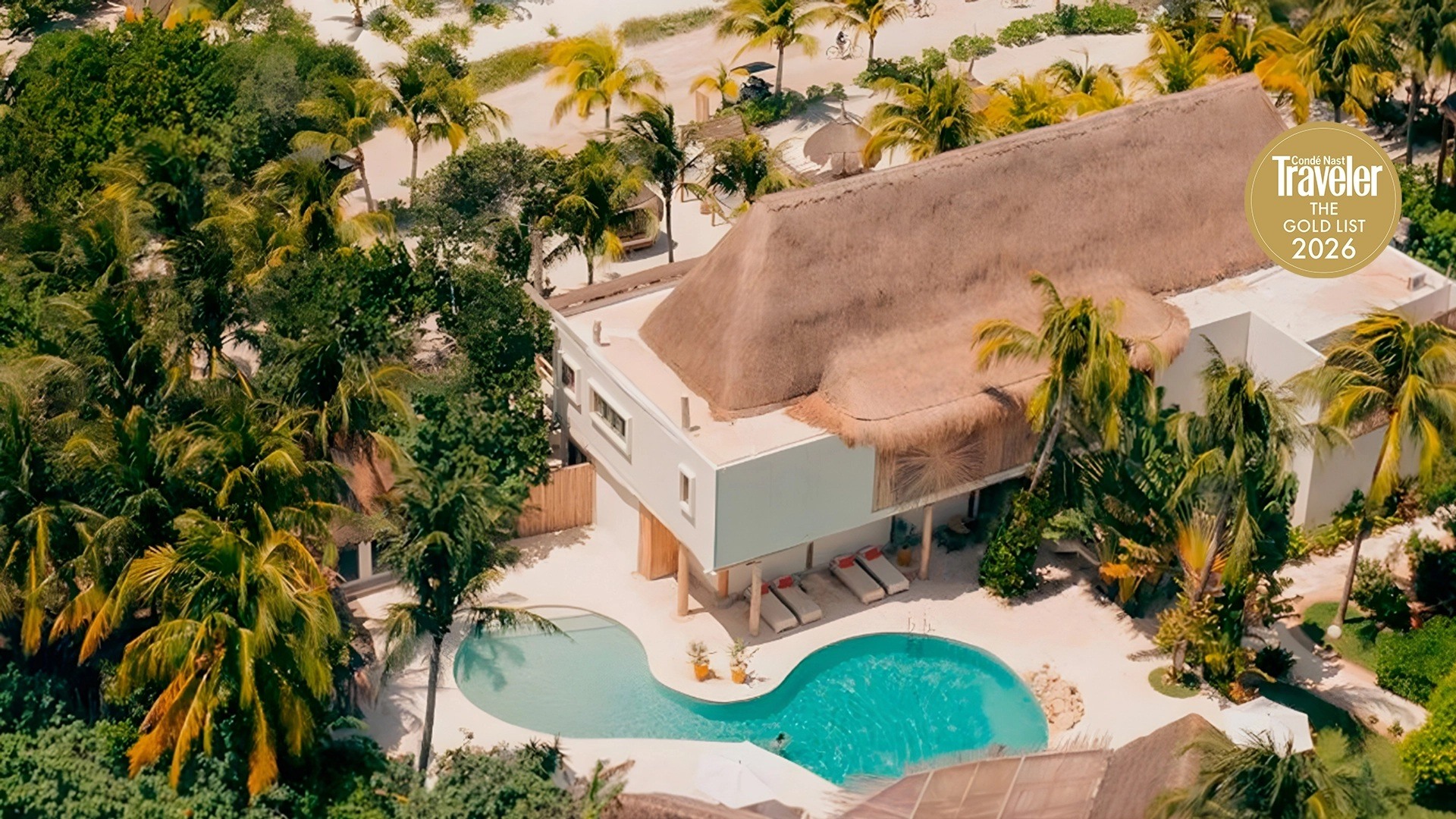 Ser Casasandra Holbox