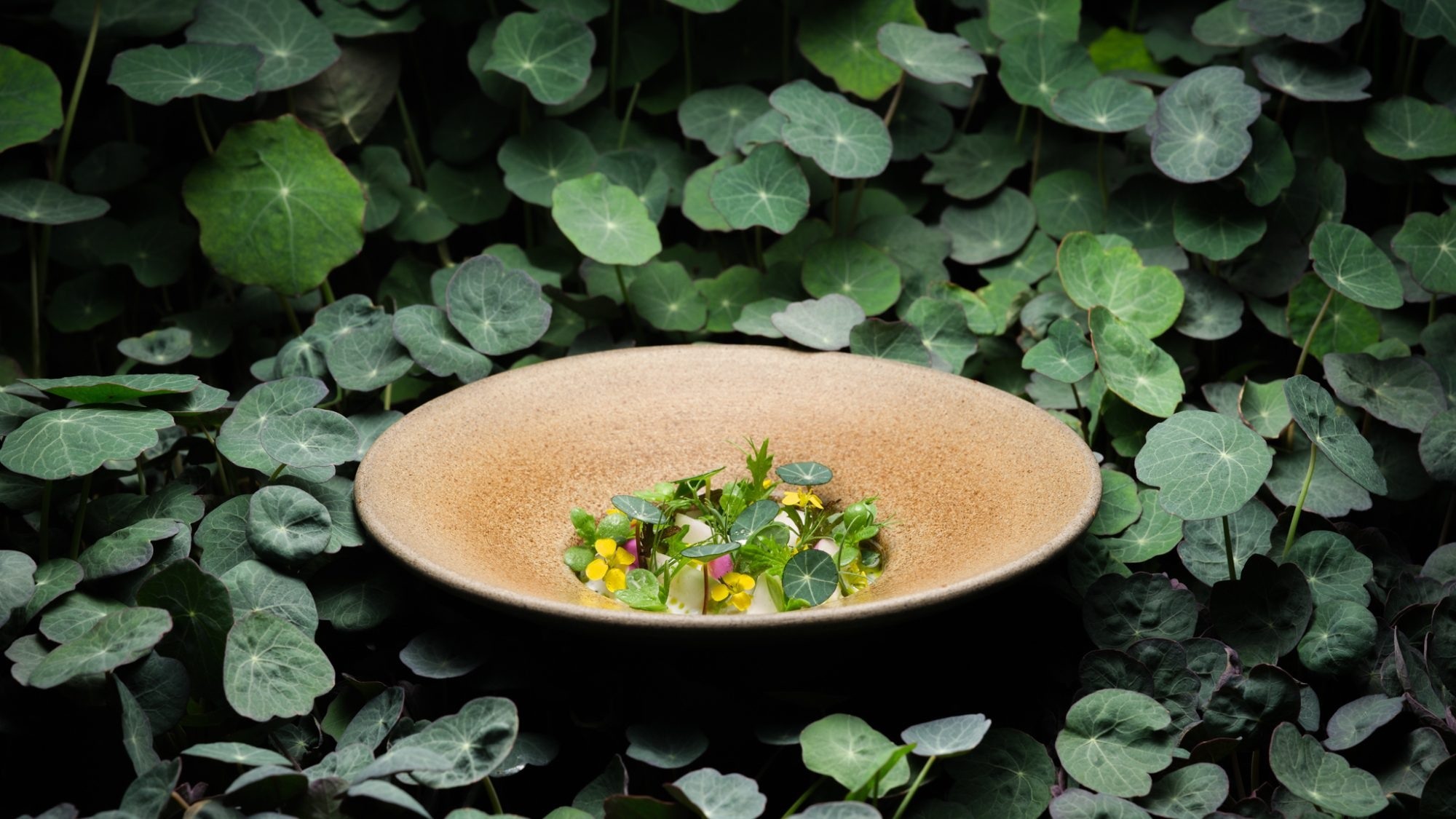 L'Enclume